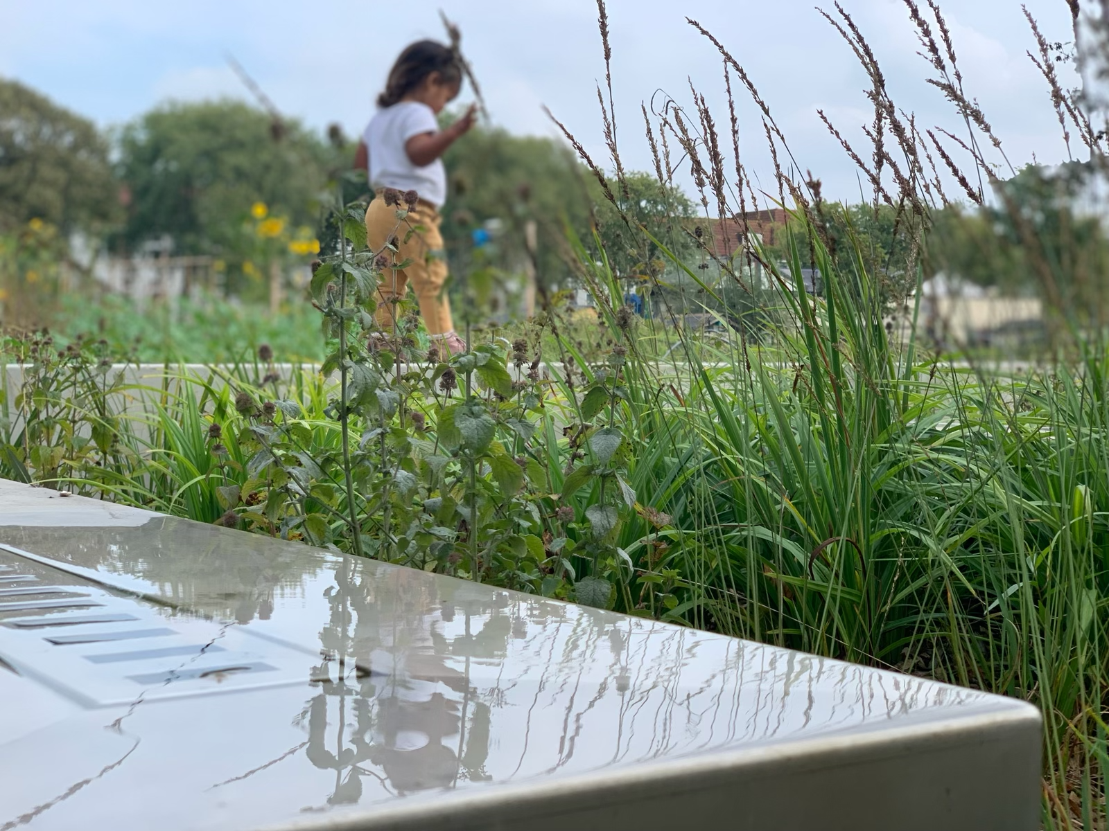 DenHaag_Cromvlietpark_BlueBiofilter_3