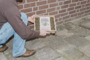 FliptheCity_Web-8 (1)