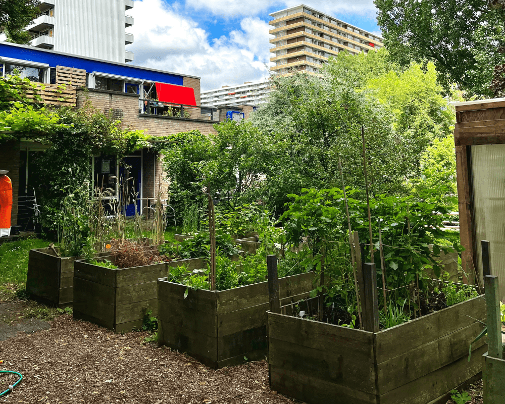 ©Gemeente Delft
